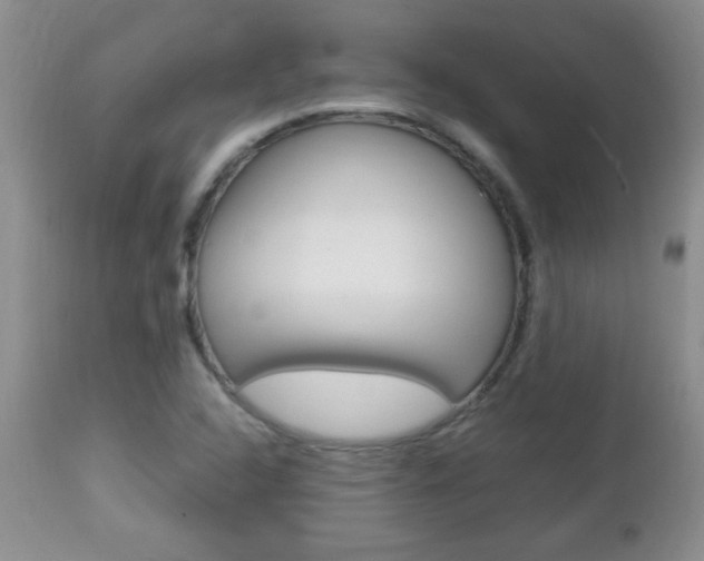 X0000112791408200908210927