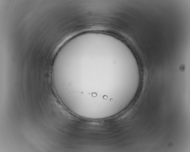 X0000112791409200908210927