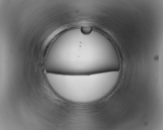 X0000112791410200908210927
