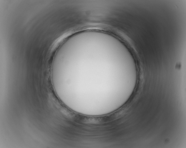 X0000112791411200908210927