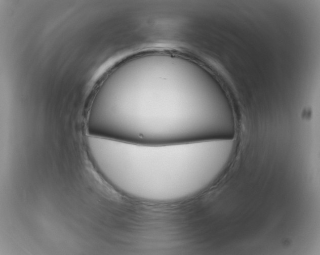 X0000112791412200908210927