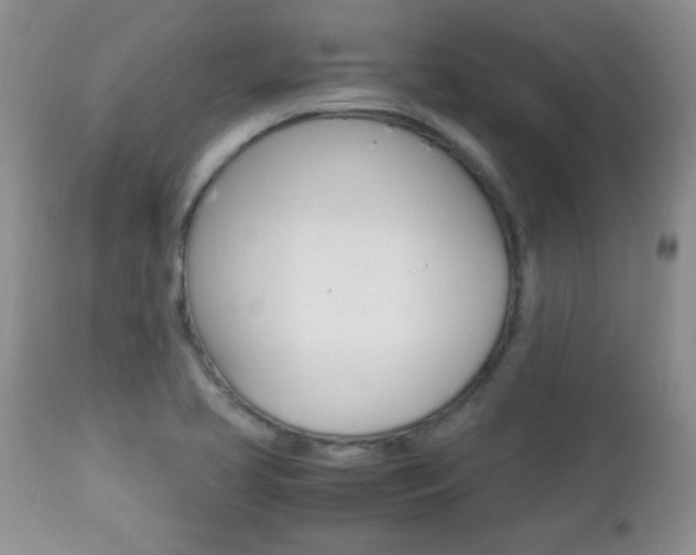 X0000112791413200908210927