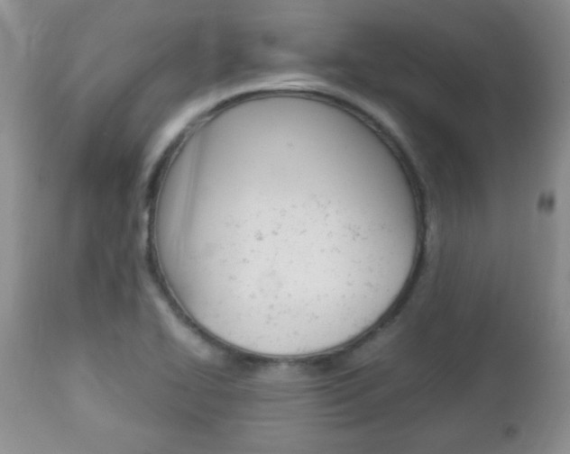 X0000112791414200908210927