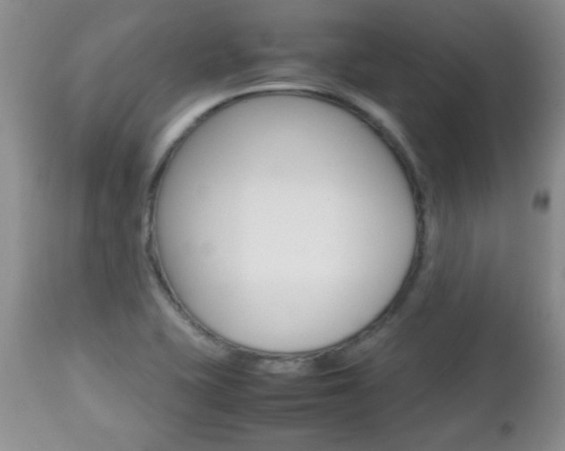 X0000112791415200908210927