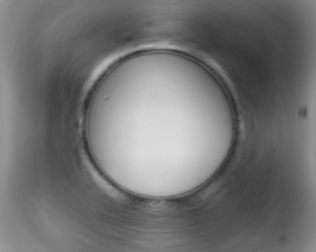 X0000112791416200908210927