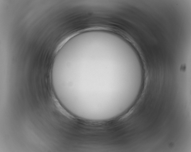 X0000112791417200908210927