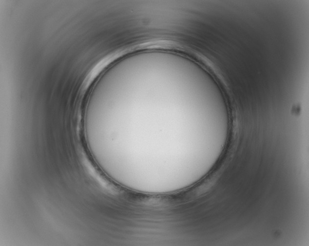 X0000112791418200908210927