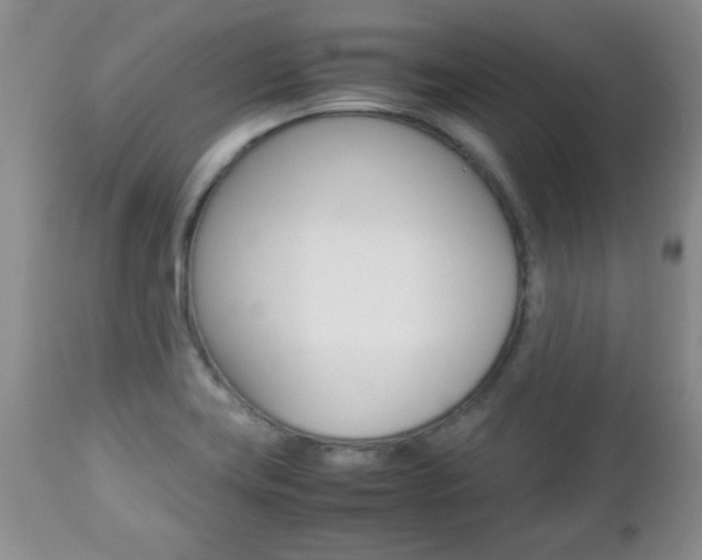X0000112791419200908210927