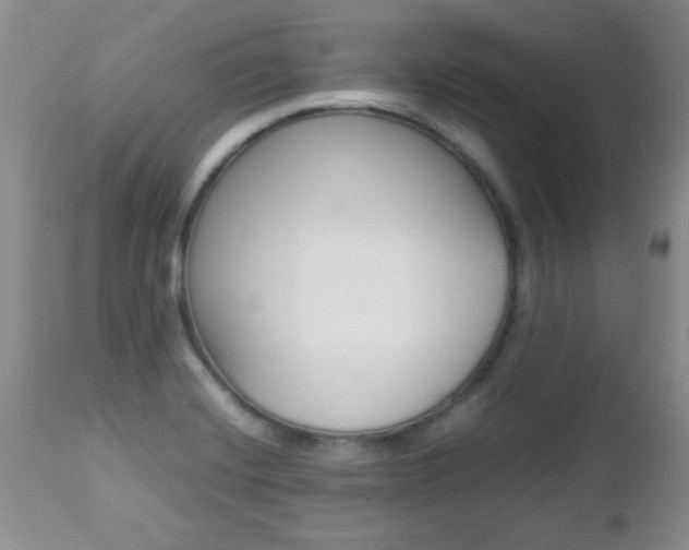 X0000112791420200908210927