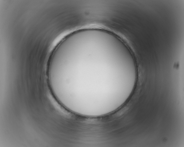 X0000112791422200908210927