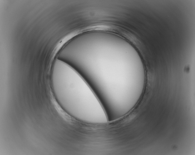 X0000112791426200908210927