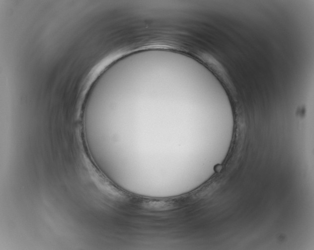 X0000112791427200908210927