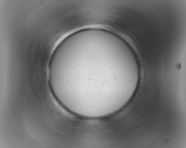 X0000112791428200908210927