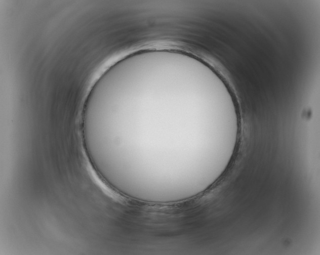 X0000112791429200908210927