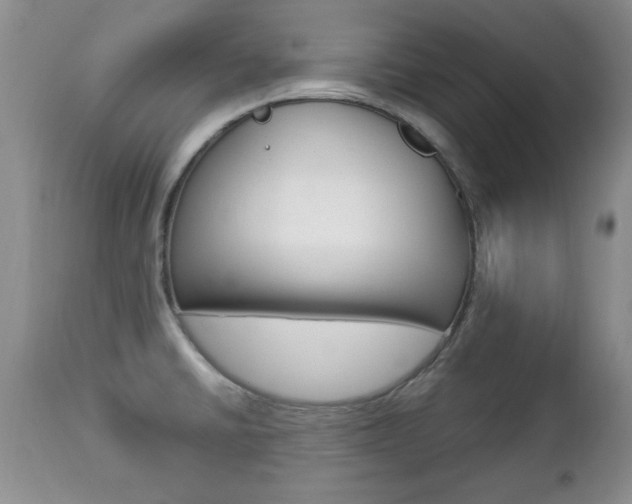 X0000112791430200908210927
