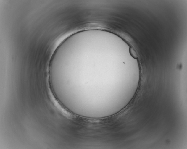 X0000112791431200908210927