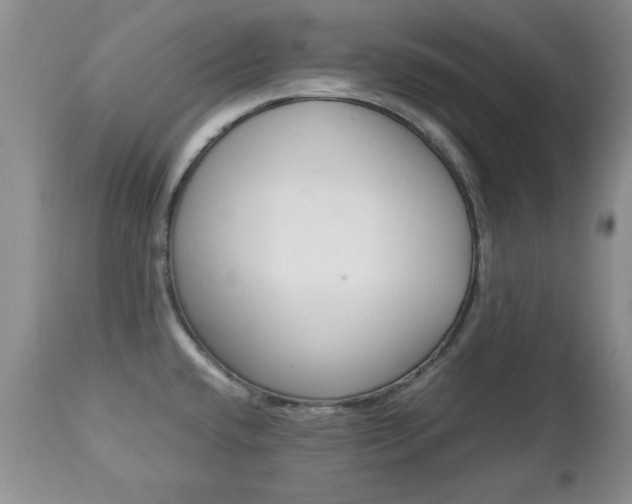 X0000112791432200908210927