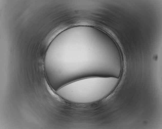 X0000112791433200908210927