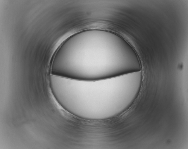 X0000112791434200908210927