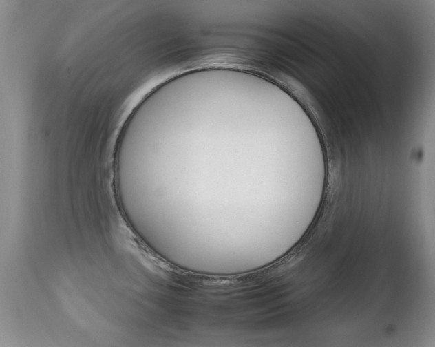 X0000112791435200908210927