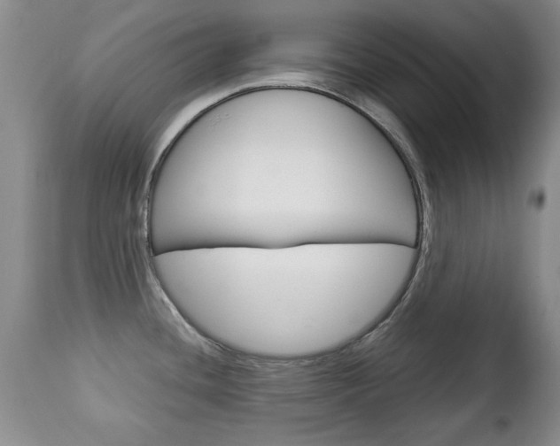 X0000112791436200908210928