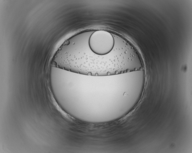 X0000112791437200908210928