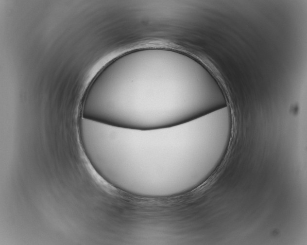 X0000112791438200908210928
