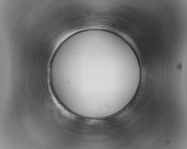 X0000112791439200908210928