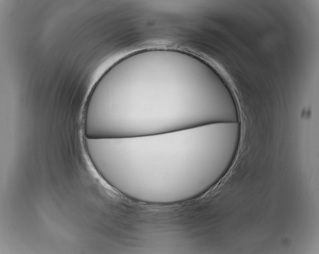 X0000112791440200908210928
