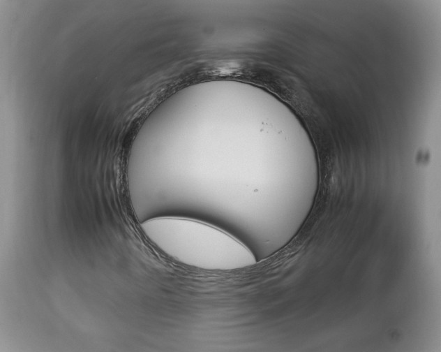 X0000112791442200908210927