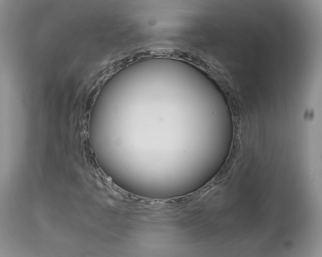 X0000112791445200908210927