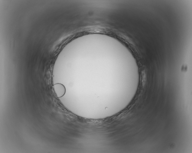 X0000112791446200908210927