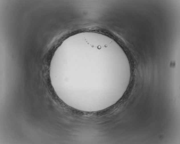 X0000112791447200908210927
