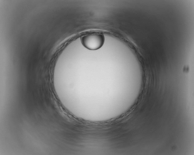 X0000112791448200908210927