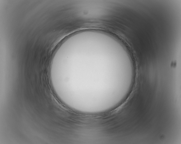 X0000112791449200908210927