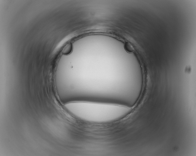 X0000112791450200908210927