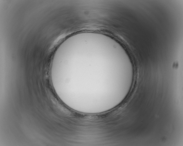 X0000112791451200908210927