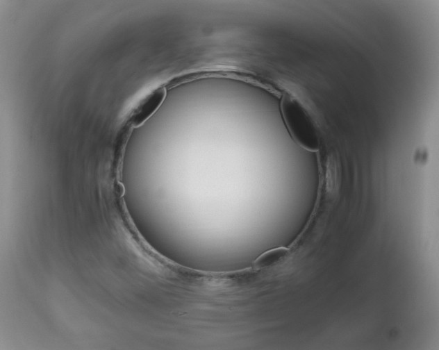 X0000112791452200908210927