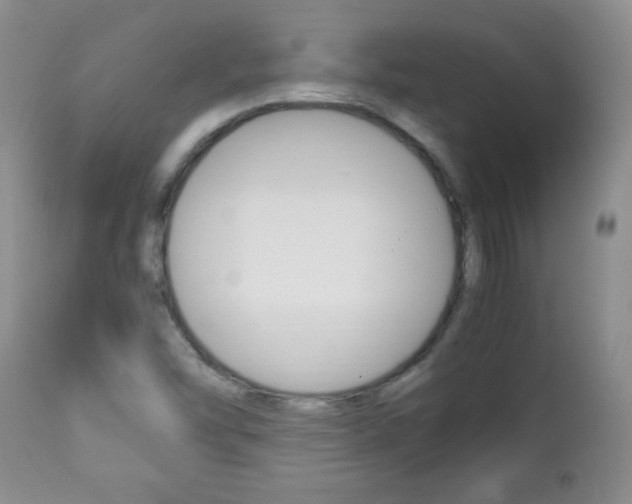 X0000112791454200908210927