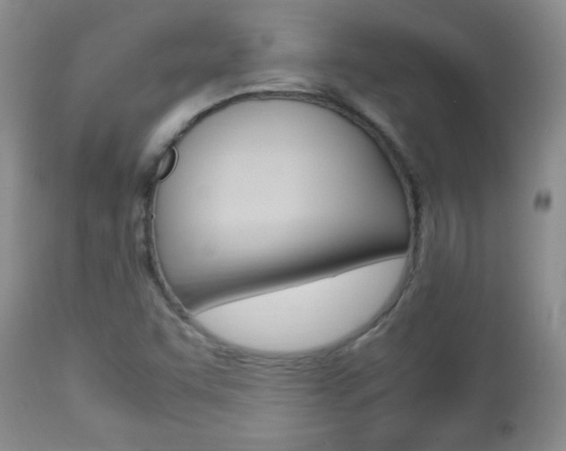 X0000112791455200908210927