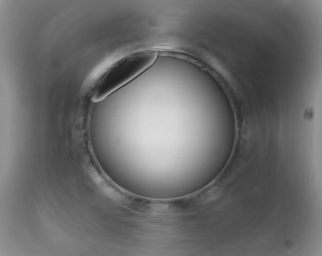 X0000112791456200908210927