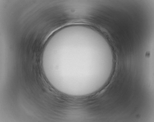 X0000112791457200908210927