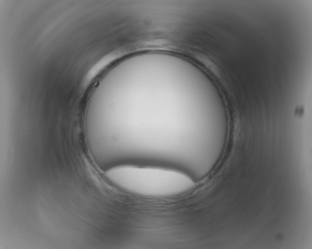 X0000112791458200908210927