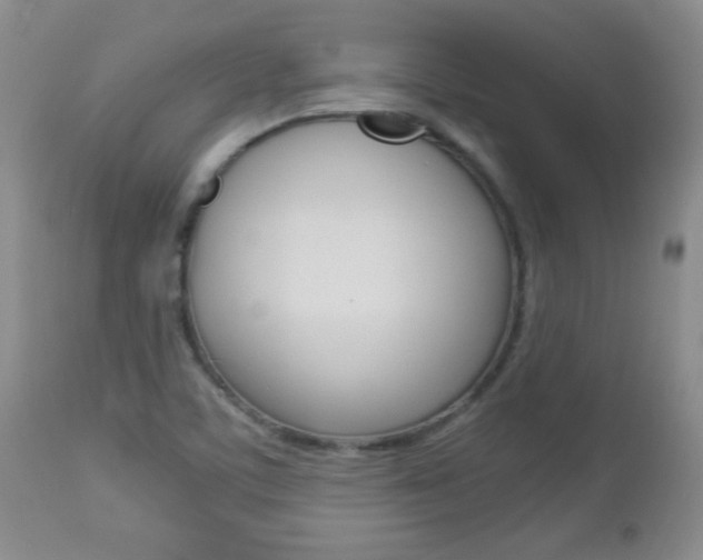 X0000112791459200908210927