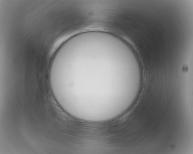 X0000112791461200908210927