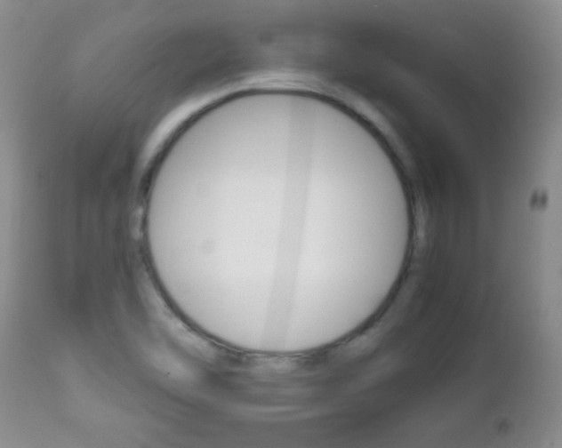 X0000112791462200908210927