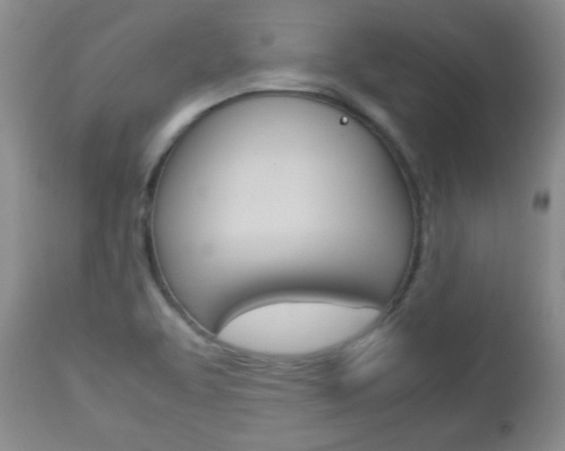 X0000112791463200908210927