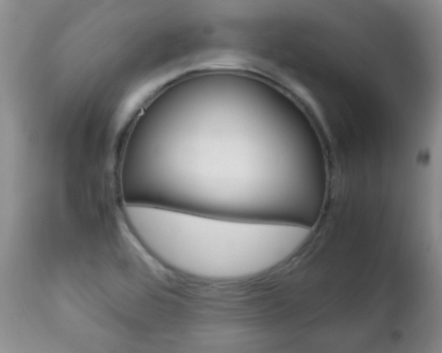 X0000112791464200908210927