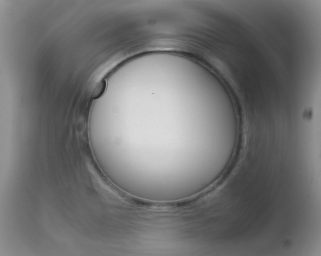 X0000112791465200908210927