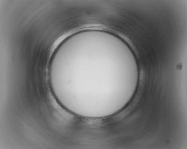 X0000112791466200908210927